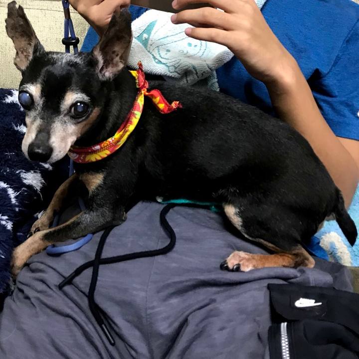 1604caef 2781 41a5 beeb 58a5e3d8f09e 1567306035606