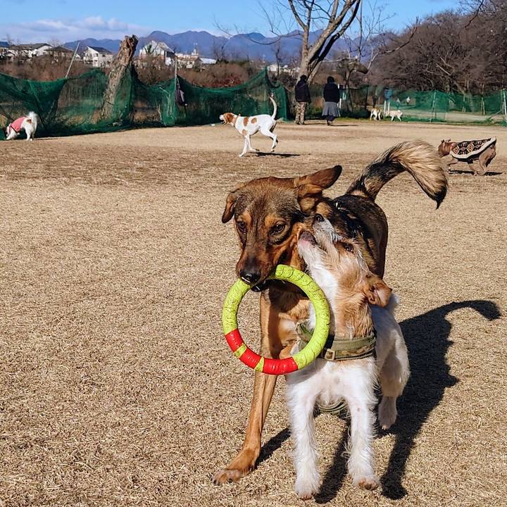 16052b04 2803 4db5 a64d d330d18c3850 1706432139550