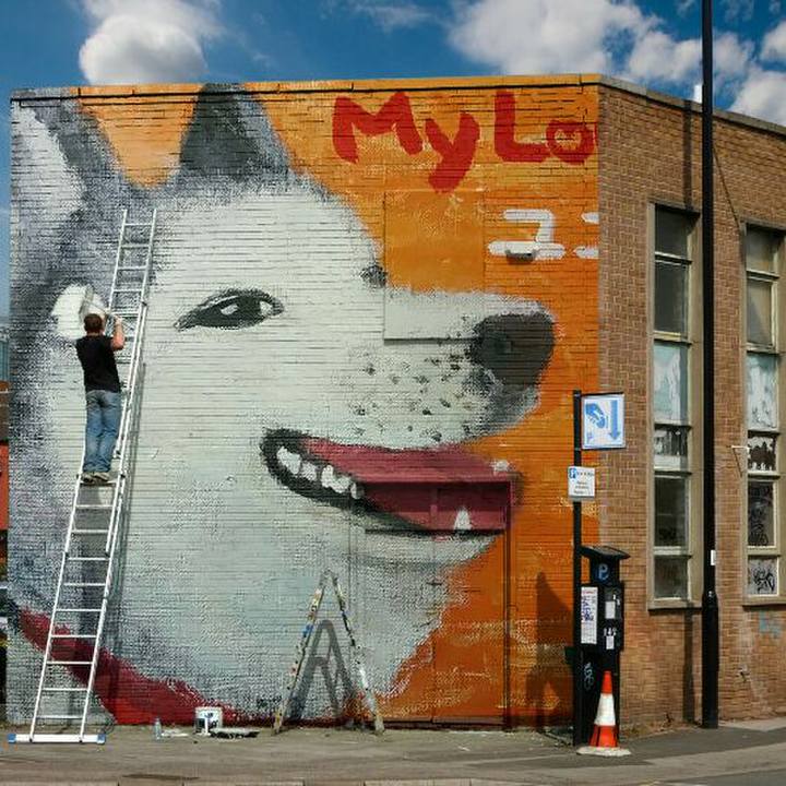 1605b71d 5d45 4946 b0df e4b242047c7a 1509075309173