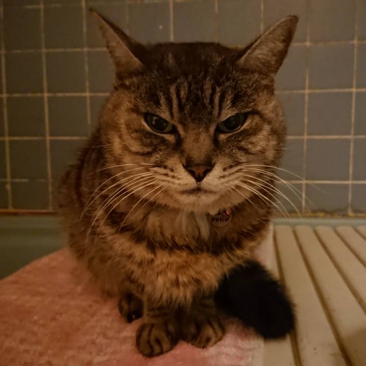 1605b9b7 ff01 4980 9ce3 a671f78e044d 1580981910772