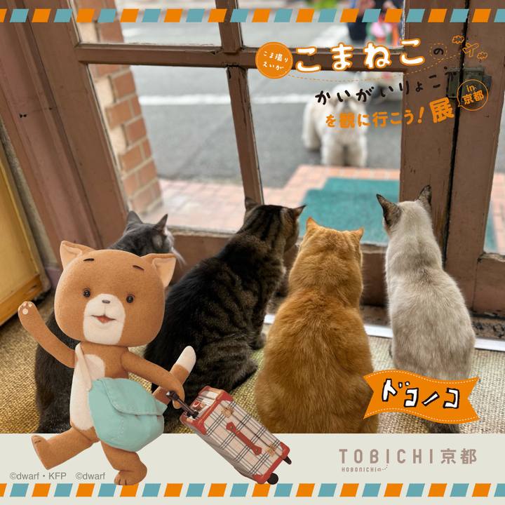 16060cfb e1da 472f 9cfe 4b37eca0b30d 1740201406886