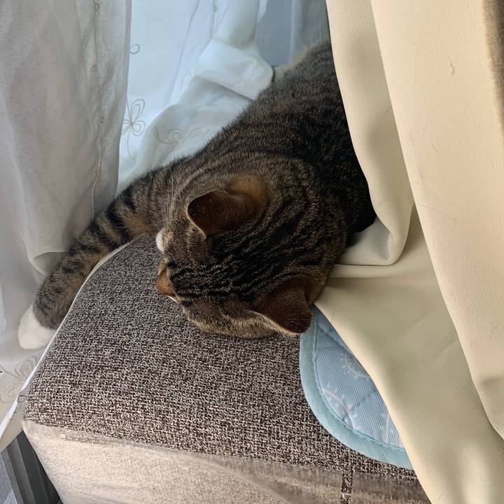 16064f5d 7e5e 4f05 b44d 99f70ed6b80c 1570669420456