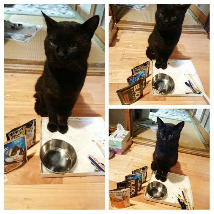 1606626e 5742 4f4c 817b 4890b093fce3 1627472742173