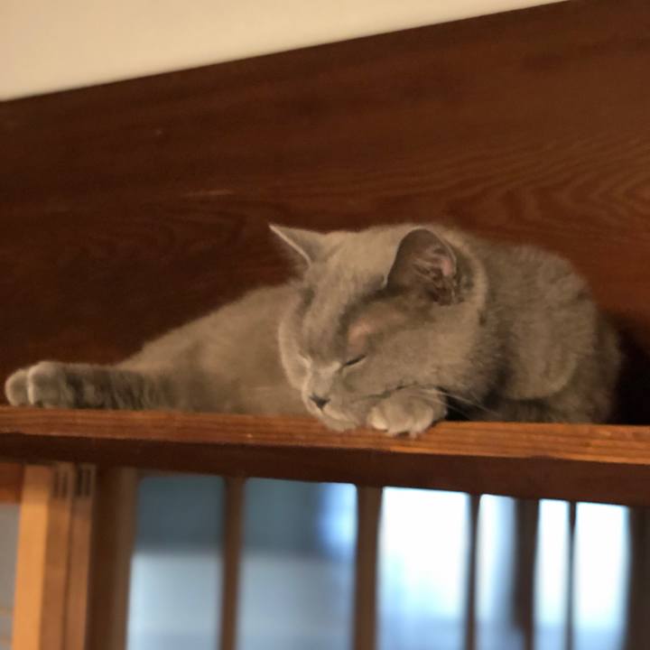 16069630 bb6f 4793 b24f d59ba2bb277a 1563007559731