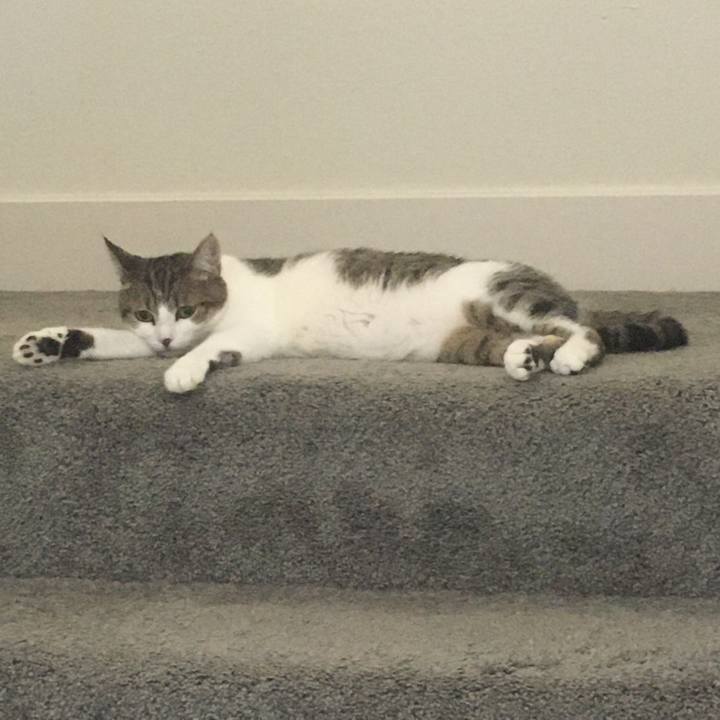 160696b5 399d 4ad7 a4ac dd854fbc4a12 1656549467389