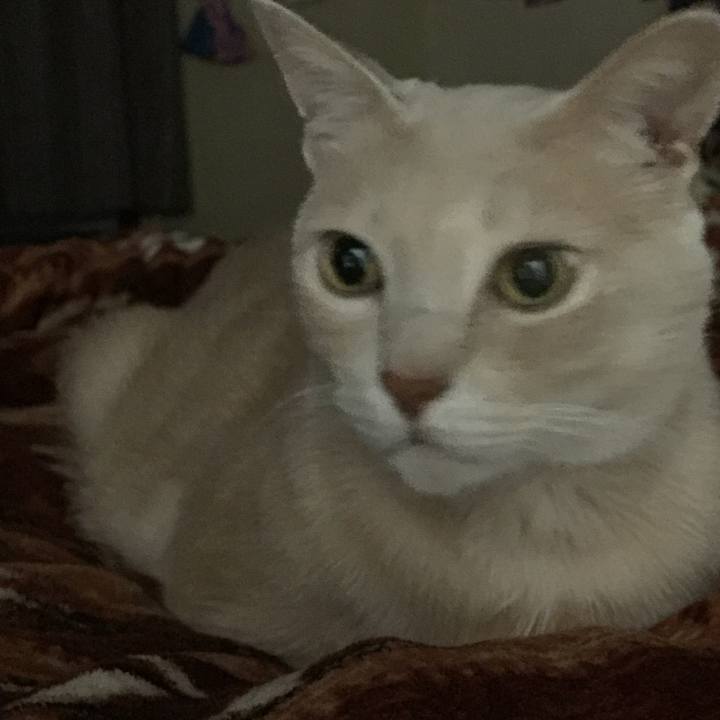 1606fd9a 2bb7 4424 8848 fb03538a5d46 1672828968046