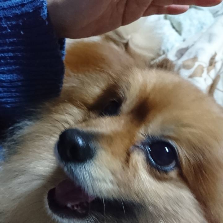 1607087e 383d 40da bd96 d9a04e691c6c 1554820038180