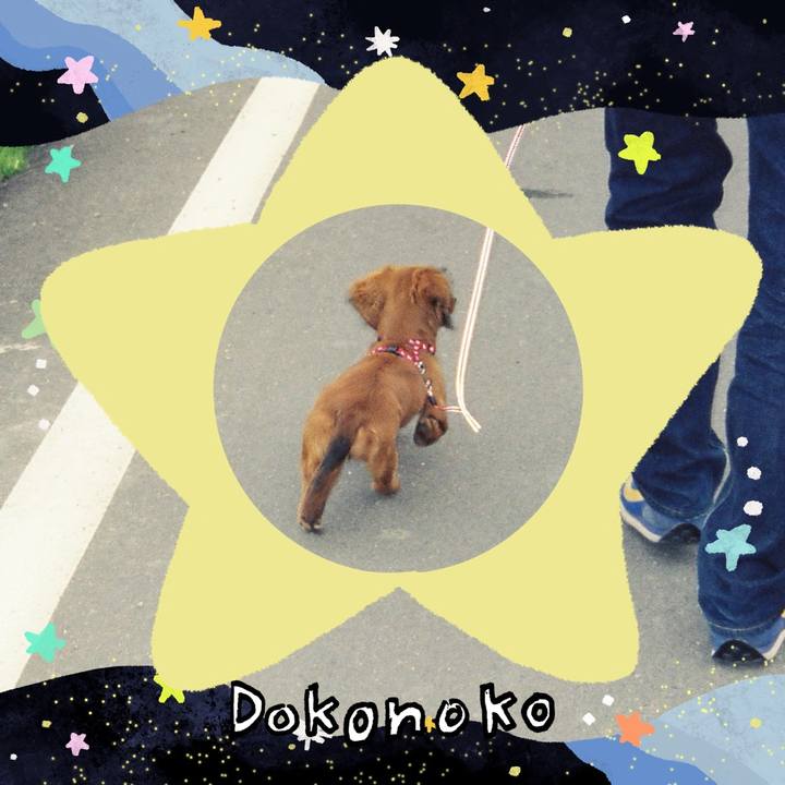 16071c45 83ca 41ef bbc9 1d4552f3333a 1720800290160