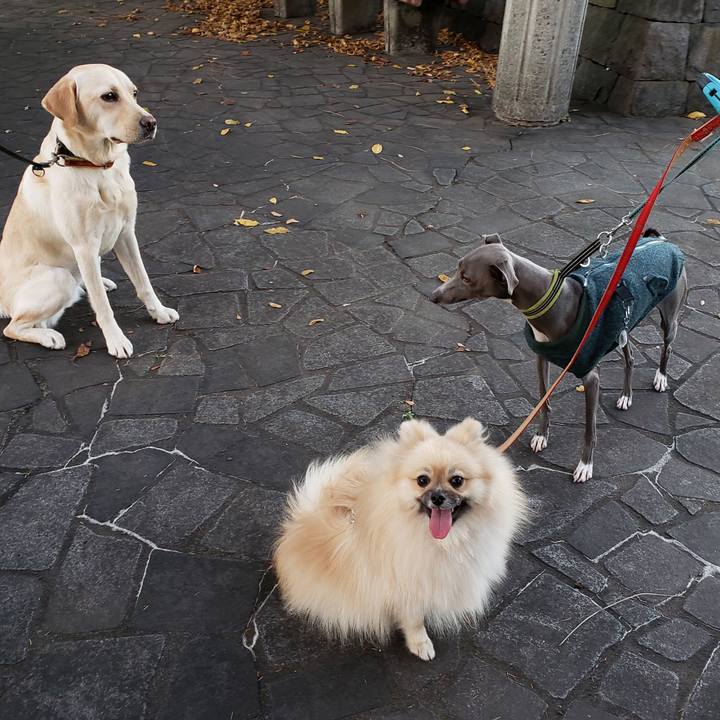 16072a91 54a5 4f02 82e8 8dd339cf9540 1638358396646