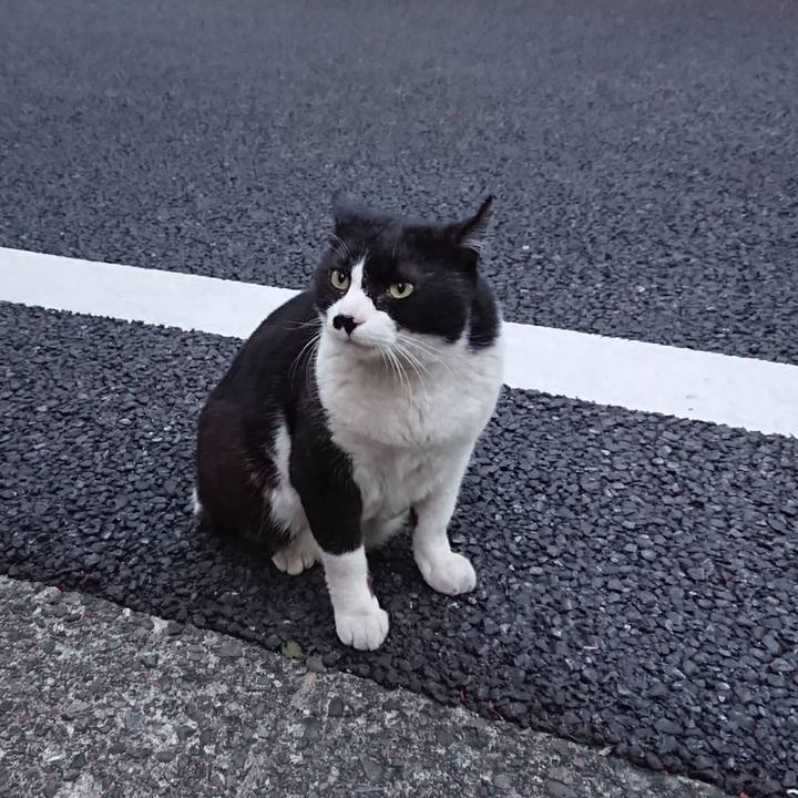 1607926b 67be 4fb4 b1d5 6cce47a8a56a 1558875321950