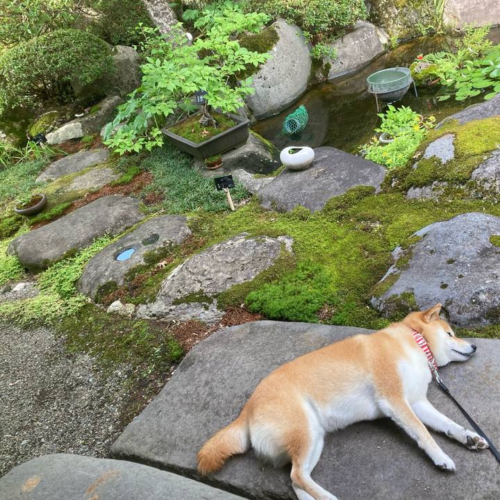 1607a0d0 2933 4e77 a052 f9c7e419f72c 1656398718081