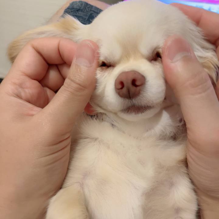 1607c9b6 bc4e 4794 9163 572eb7ef7a47 1690764419042