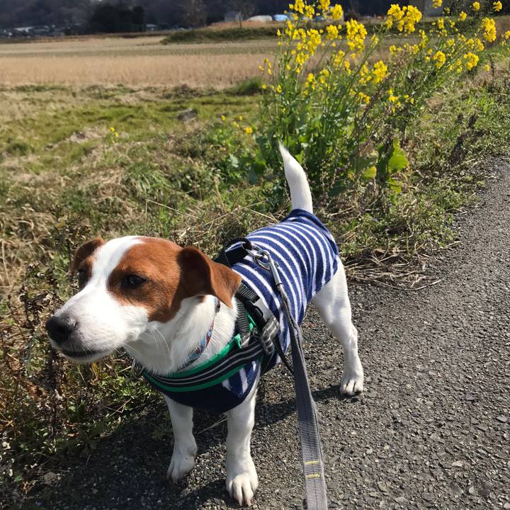 16081a65 382e 42df 99b9 9b7f218dc655 1550911408008