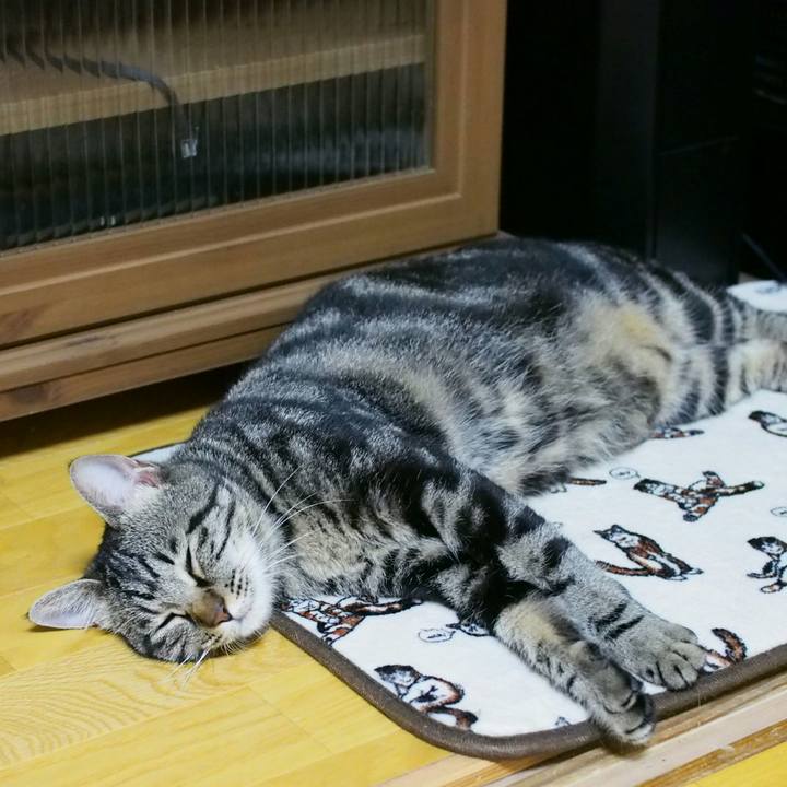 160833a7 6940 401b 94f4 b555852b6f19 1530625064596