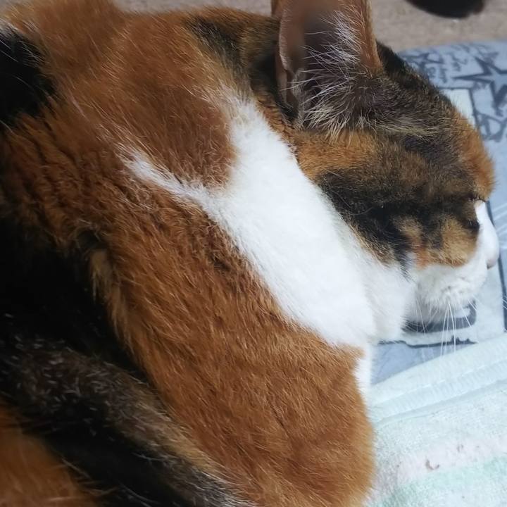 16086f4a 46f9 4592 b173 618a0c863cb3 1560904612400