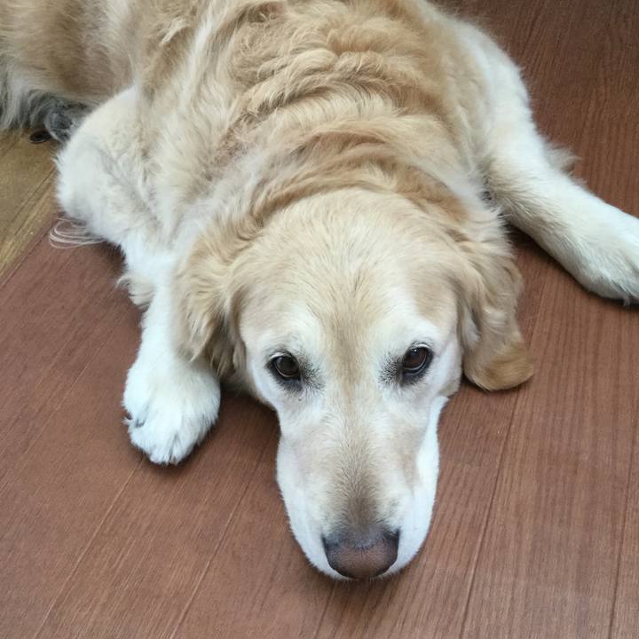 16087805 f581 464f 82d6 7a250d0e653b 1523056058218