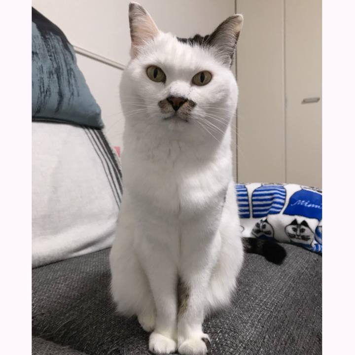 16089459 7bd4 416f 8414 e58237975c93 1581733224292