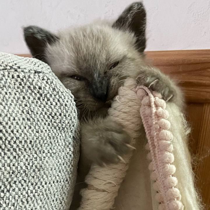 160899c7 c49e 46d5 a06b 7dc9ad7a48e1 1685393737183