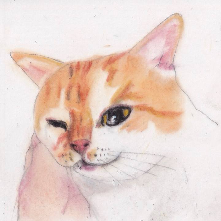 1608adea b573 4149 8464 b7731a3ba964 1673311485973