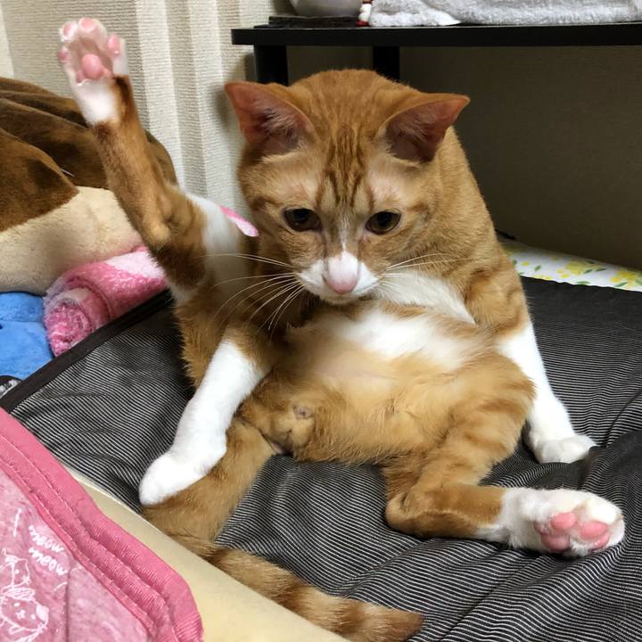 1608c19f ea29 4866 9d5e 17cec1a978db 1589669391344