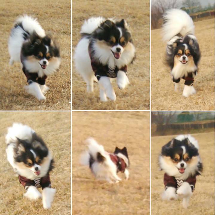 1608c663 fbc9 498d 923e 7789d3b20720 1514020329436