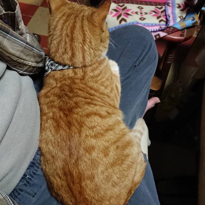 16091b54 37a2 4975 91fc fe23af73b934 1573638866690