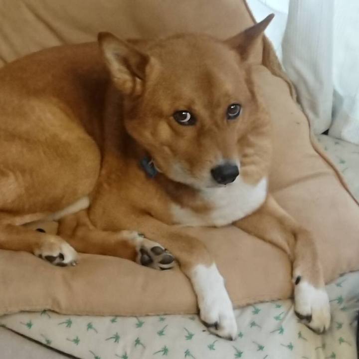 16094856 880a 4c0c 8a2c 988f307cea57 1592276623903