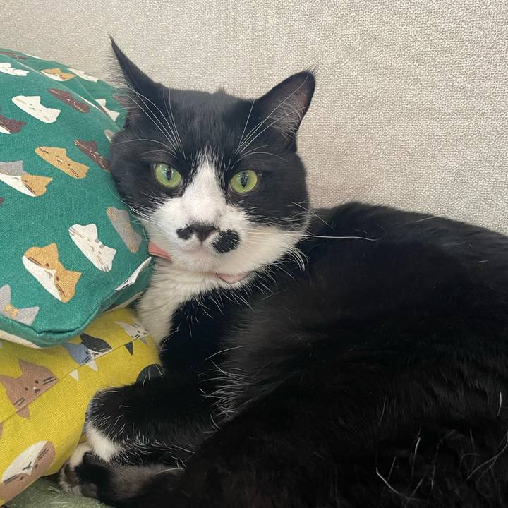 16094ce8 bc03 4e6f aff2 157db437dedc 1755817742085