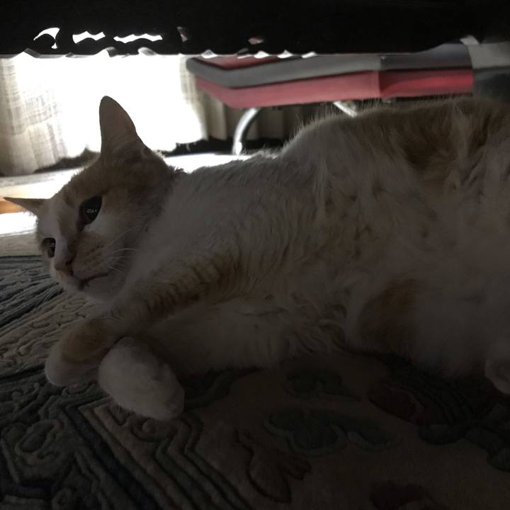 16096eb7 930f 4ff5 902f 3d8586d3ccdd 1550139202951