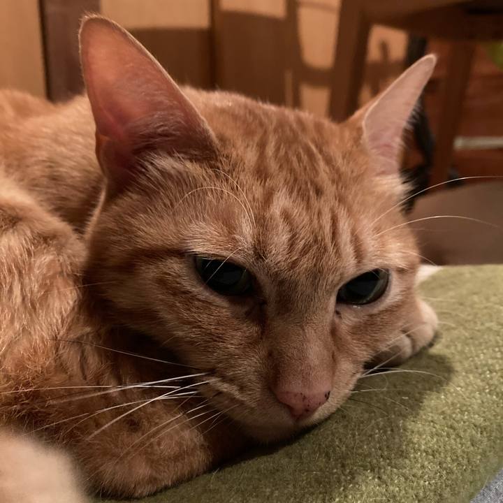 160971c7 239e 4ade a7f2 187e6794693a 1665409426847