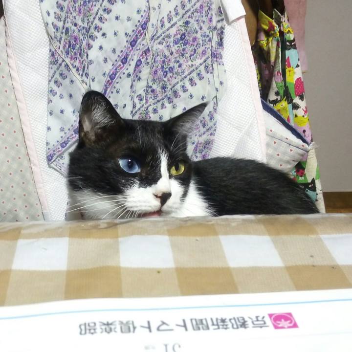 16099692 4fa1 4935 b494 7243a92414e6 1536486358847