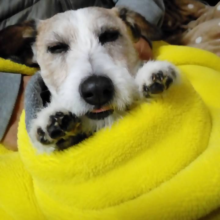 1609af4e 8a6c 4c9b adc0 1ab02e416aa6 1586867277161