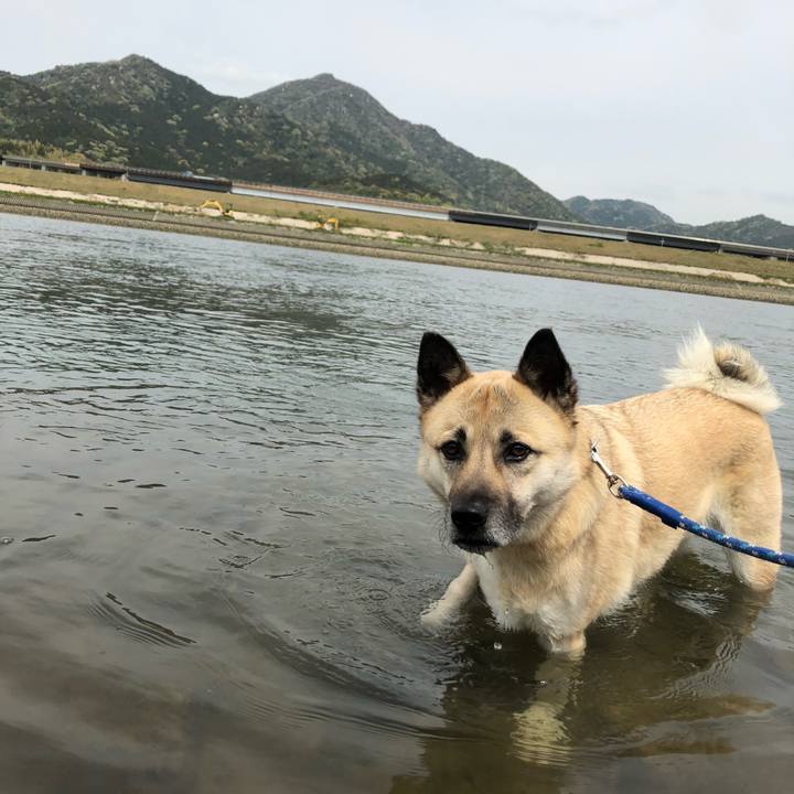 160a0e25 b9c9 4b74 bf83 59682fdaabaf 1587279898728