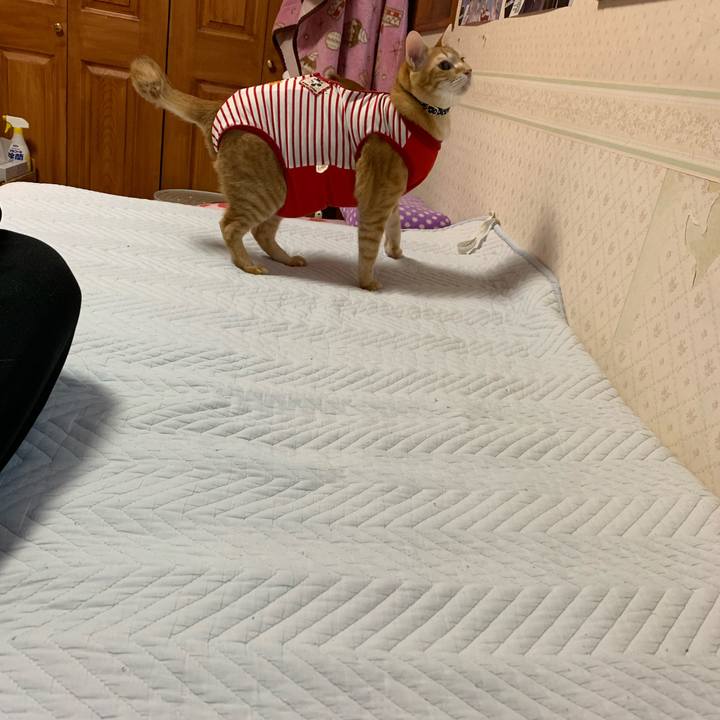 160a51bb 3a0b 44d6 b8b3 8c99980c29bd 1587846983174