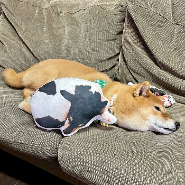 160a58ff 6c98 40b0 9693 bbe63e98e4a7 1671282770031