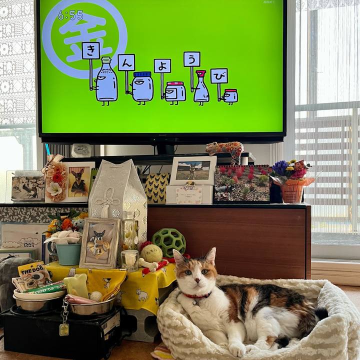 160a6ab2 aa89 4e65 9d5d f7028e5a09af 1698357451117