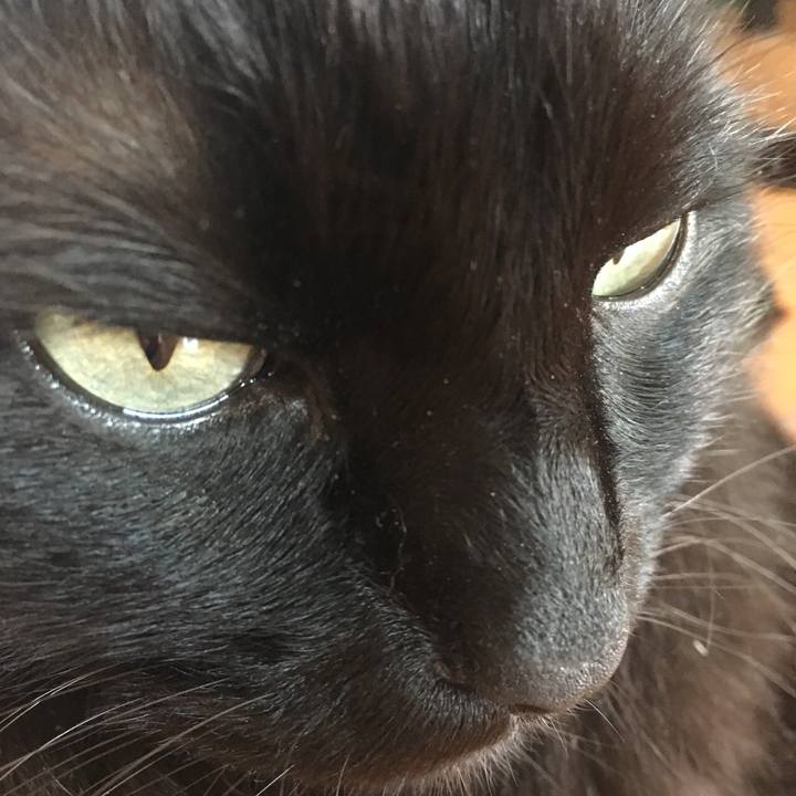 160a8641 2dd0 4228 845f 722124745954 1532071124742