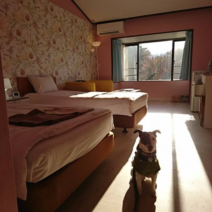 160aa7e2 cd8a 4236 9ae2 774207a273a2 1509862619819