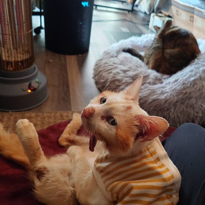 160ab51b cd3a 409a 8368 bfc3713aafa3 1768262719661