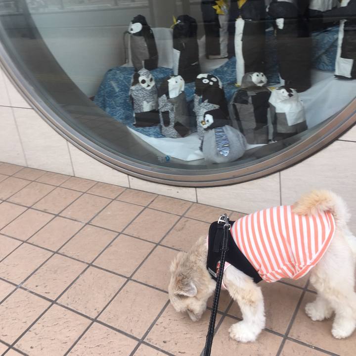 160ac28a df7e 4ae4 90ad e0f17d27f5ac 1530101939466