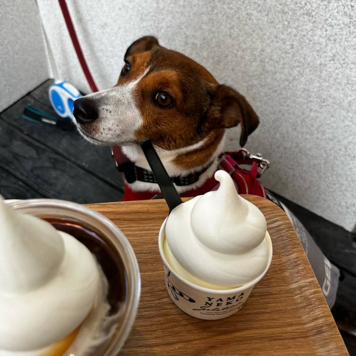 160ad8a9 75a2 4637 a60f 473dd549db25 1756610191303