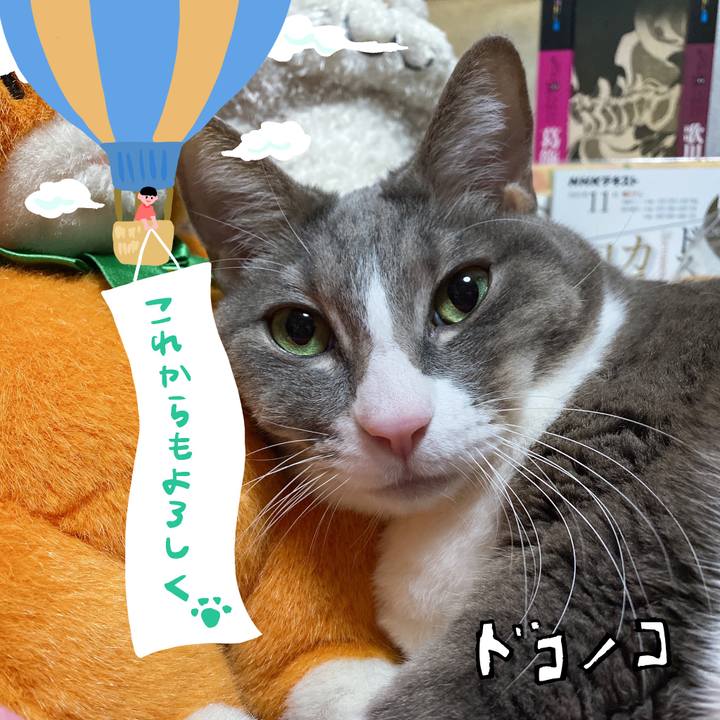 160ae4dc 5dc8 4736 8558 dfbaa34e0224 1685970111940