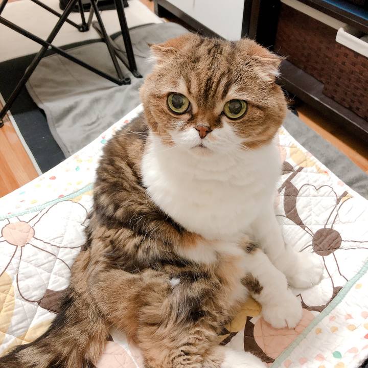 160b1f03 eede 427f a2d4 80c9a09d387d 1559383882465