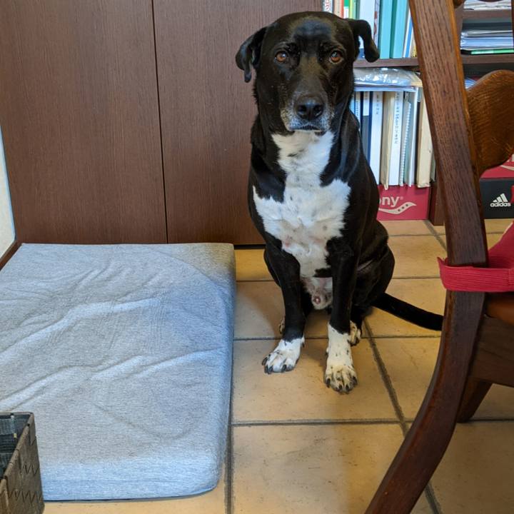 160b45e2 2ef0 4588 96b7 41a3e684ade8 1678843558673