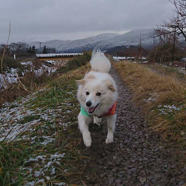 160b4e3b 8792 4606 919a ff5a08d89496 1515539515910