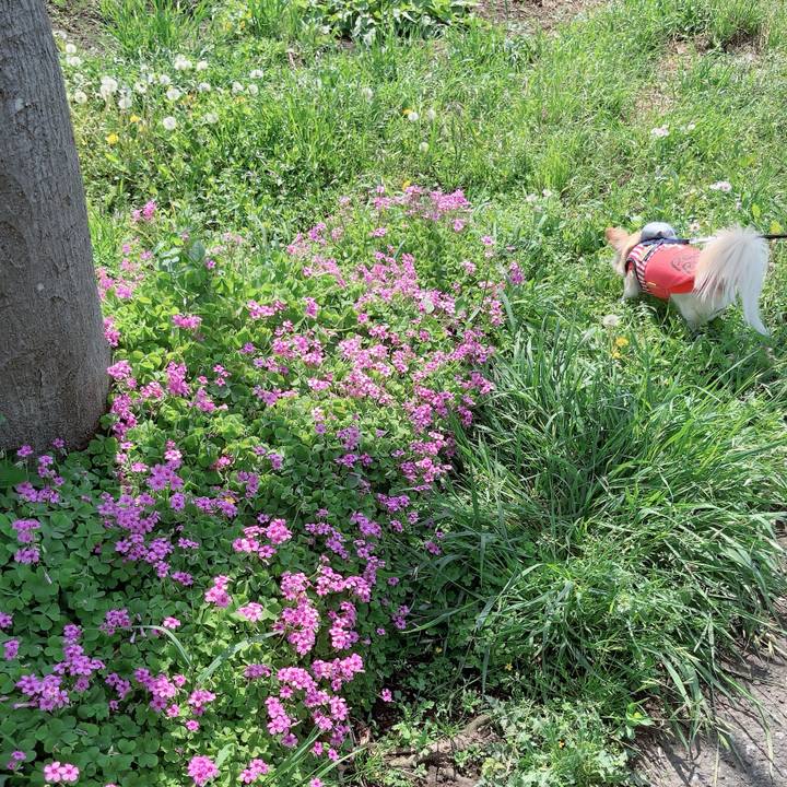 160b90a1 4aab 439a 99f7 896ba867d6a4 1745738776846