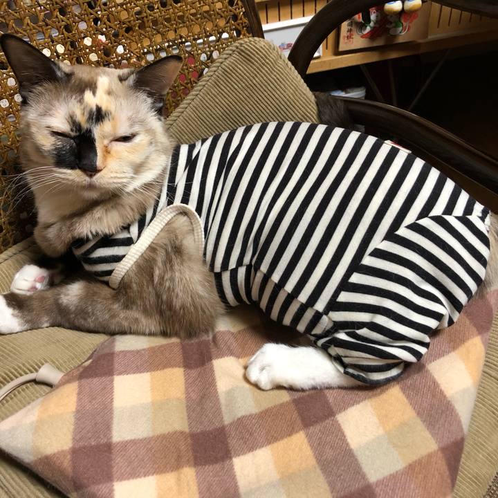 160ba8d7 beee 4fb9 88f6 e9e2932eab65 1670937121085