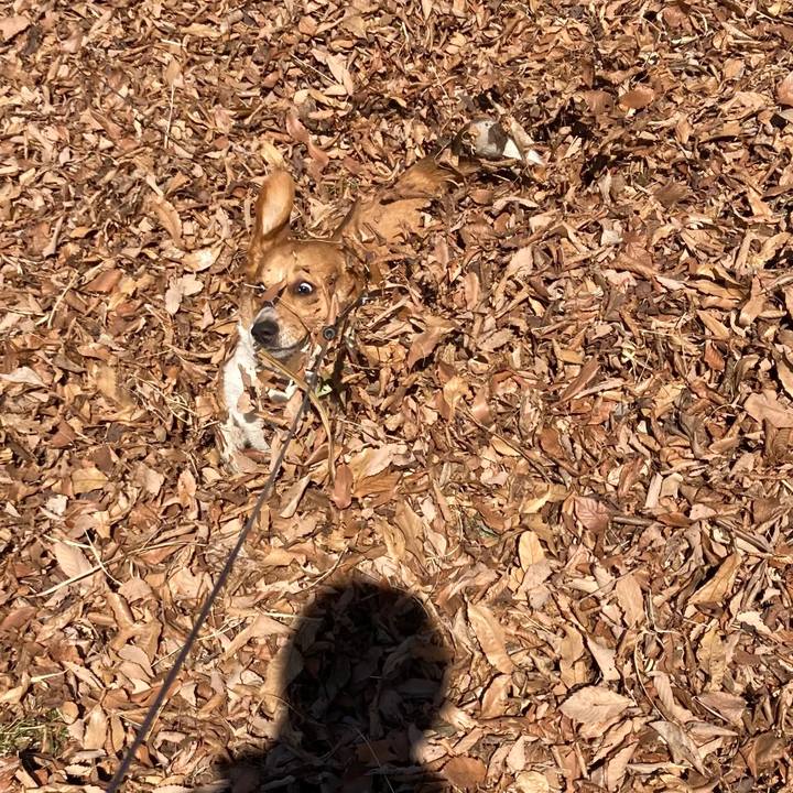 160bb38e 051b 40c9 a2f3 7fadd167b522 1644208148773