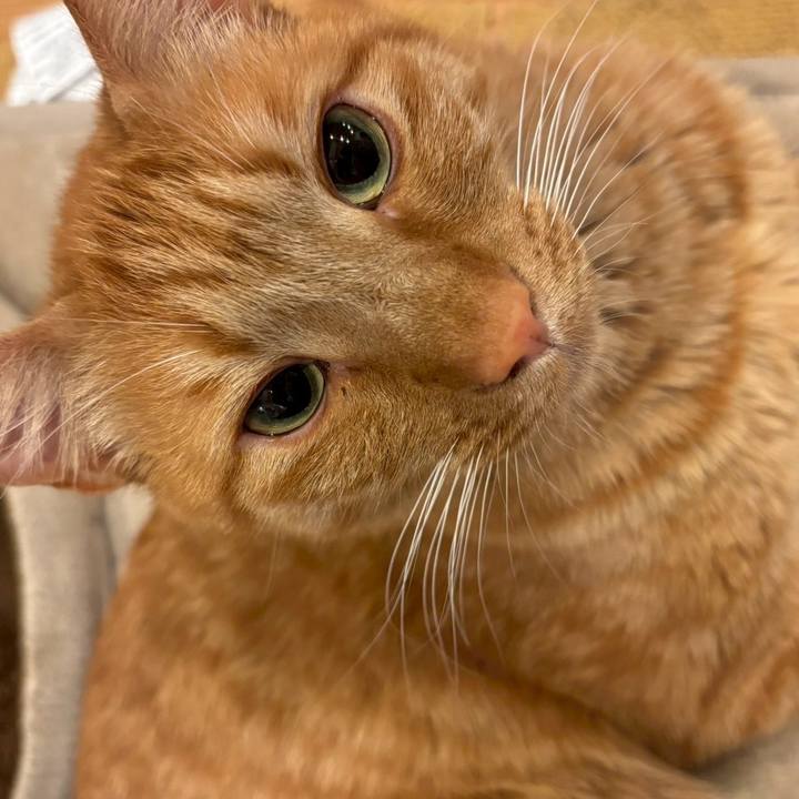 160bf47c b161 46f8 a7b6 27ca3170363f 1764150592085