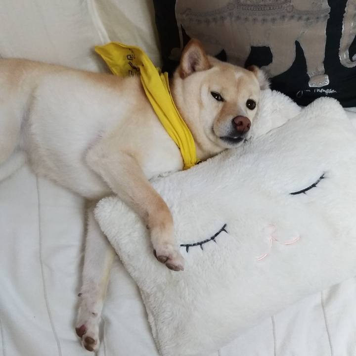 160c0582 bc60 45c8 a5d6 5a8f0444b389 1560312254408